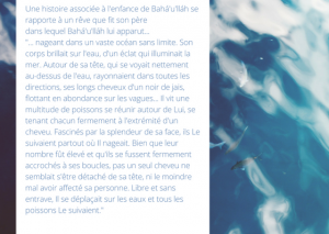 Une autre histoire associée à l'enfance de Bahá'u'lláh se rapporte à un rêve que fit son père dans lequel Bahá'u'lláh lui apparut: "... nageant dans un vaste océan sans limite. Son corps brillait sur l'eau, d'un éclat qui illuminait la mer. Autour de sa tête, qui se voyait nettement au-dessus de l'eau, rayonnaient dans toutes les directions, ses longs cheveux d'un noir de jais, flottant en abondance sur les vagues... Il vit une multitude de poissons se réunir autour de Lui, se tenant chacun fermement à l'extrémité d'un cheveu. Fascinés par la splendeur de sa face, ils Le suivaient partout où Il nageait. Bien que leur nombre fût élevé et qu'ils se fussent fermement accrochés à ses boucles, pas un seul cheveu ne semblait s'être détaché de sa tête, ni le moindre mal avoir affecté sa personne. Libre et sans entrave, Il se déplaçait sur les eaux et tous les poissons Le suivaient."